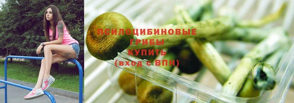 apvp Алексин