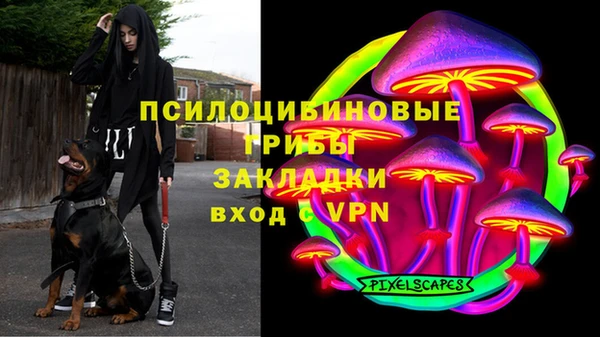 спайс Алексеевка